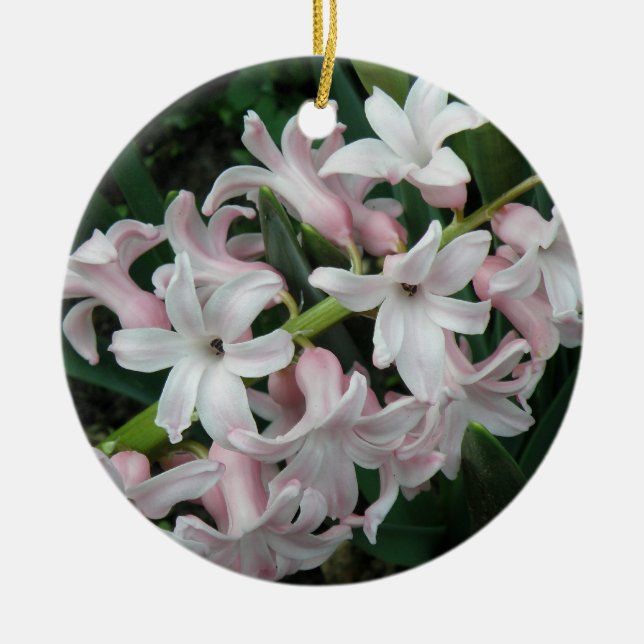 Ornamento De Cerâmica Hyacinths Custom Birthday (Frente)