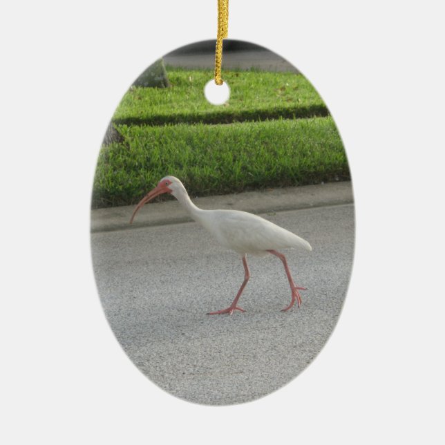 Ornamento De Cerâmica Ibis Walking Ornament (Frente)