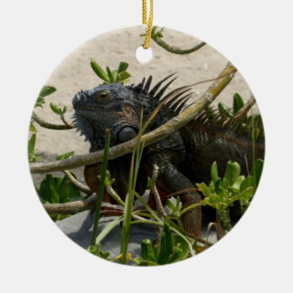 Ornamento De Cerâmica Iguana