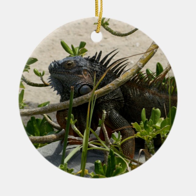 Ornamento De Cerâmica Iguana (Frente)