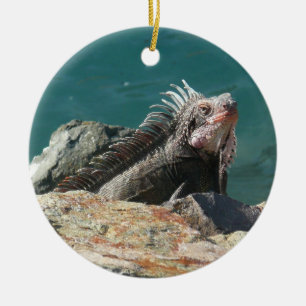 Ornamento De Cerâmica Iguana na Rua. Thomas Wildlife