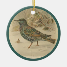 Ornamento De Cerâmica Ilustração de estorninho