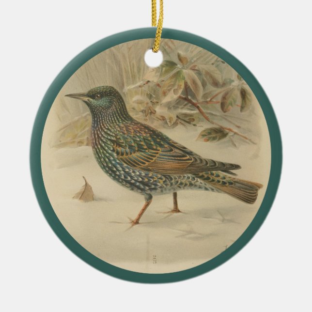 Ornamento De Cerâmica Ilustração de estorninho (Frente)