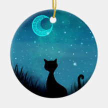 Ilustração de gato preto com nome estrela noite es