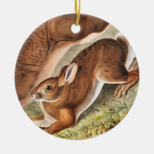 Ornamento De Cerâmica Ilustração de Lepus Americanus (norte Hare)