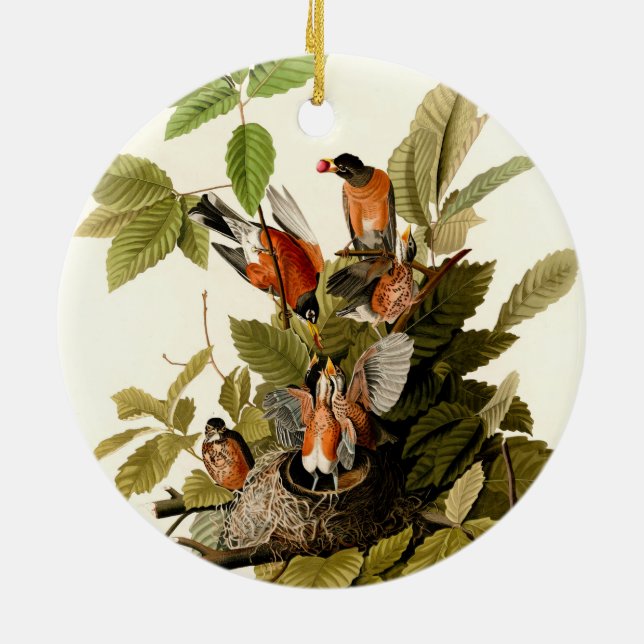 Ornamento De Cerâmica Ilustração de Pássaros Robin Wildlife da América d (Traseira)