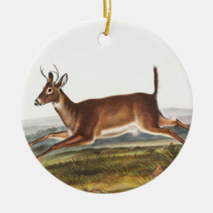 Ornamento De Cerâmica Ilustração de Veado Longo (Cervus leucurus)
