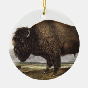 Ornamento De Cerâmica Ilustração do American Bison (Bos Americanus)