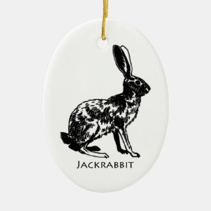 Ornamento De Cerâmica Ilustração do Jackrabbit