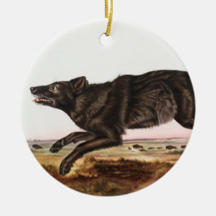 Ornamento De Cerâmica Ilustração do Lobo Negro-Americano (Canis lupus)