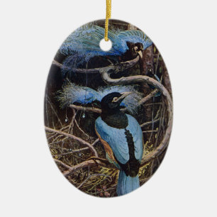 Ornamento De Cerâmica Ilustração do Paraíso do Pássaro Azul Vintage de J