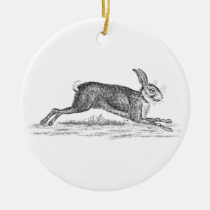 Ornamento De Cerâmica Ilustração dos 1800s do coelho de coelho da lebr