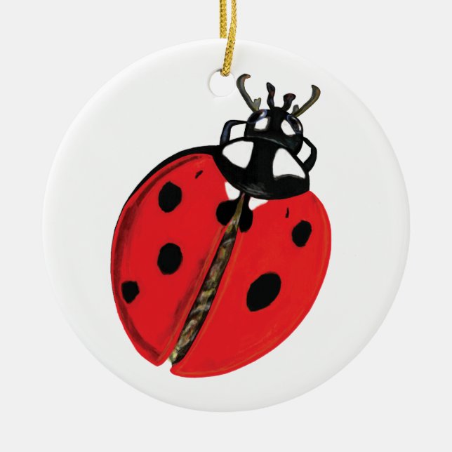 Ornamento De Cerâmica Ilustração Lady Bug (Frente)