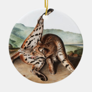 Ornamento De Cerâmica Ilustração Texan Lynx (Lynx rufus var maculatus)