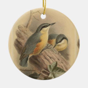 Ornamento De Cerâmica Ilustração Vintage de Nuthatch