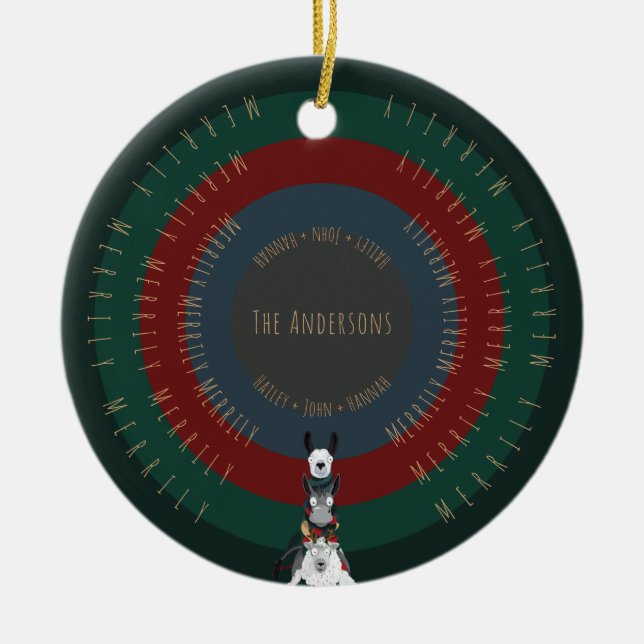 Ornamento De Cerâmica Ilustrações Belas, Engraçadas E Divertidas De Anim (Frente)