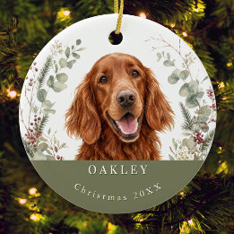 Ornamento De Cerâmica Imagem de Setter Vermelho Irlandês no Natal em Aqu