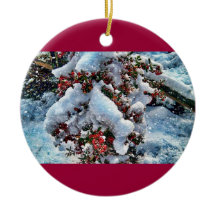 Imagens da neve em um orniment