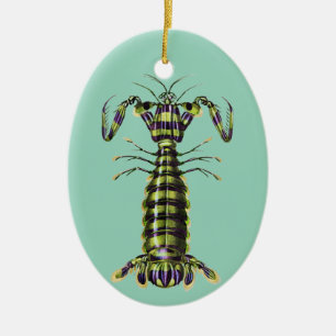 Ornamento De Cerâmica Impressão de Arte Marinha de Camarão Mantis Gigant