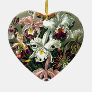 Ornamento De Cerâmica Impressão de Orquídea Botânica