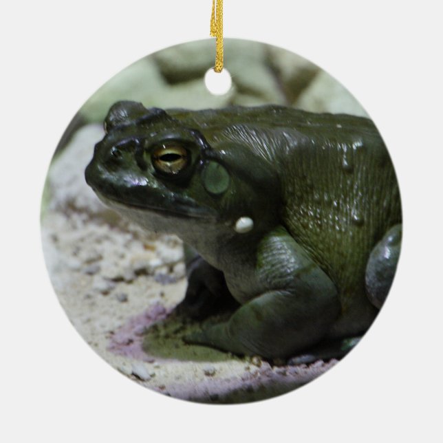 Ornamento De Cerâmica Incilius alvarius (Traseira)