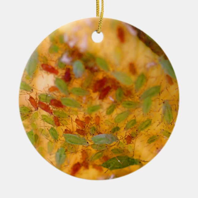 Ornamento De Cerâmica Infestação dos afídios (Frente)