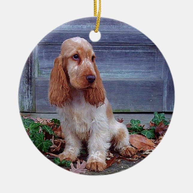 Ornamento De Cerâmica Inglês cocker spaniel (Frente)