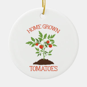 Ornamento De Cerâmica Início