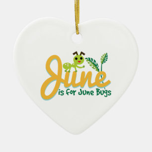 Ornamento De Cerâmica Inseto de junho
