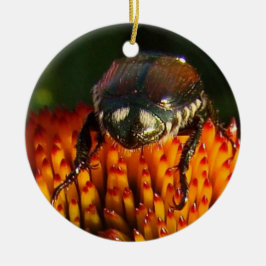 Ornamento De Cerâmica Inseto na ventoinha