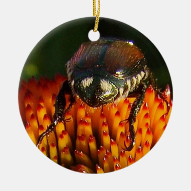 Ornamento De Cerâmica Inseto na ventoinha (Frente)
