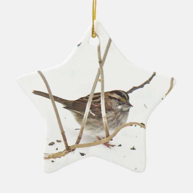 Ornamento De Cerâmica Inverno e Sparrow (Frente)