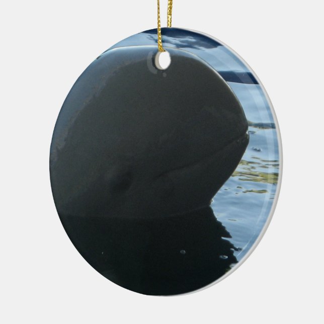 Ornamento De Cerâmica Irrawaddy Dolphin Peek-A-Boo (Esquerda)