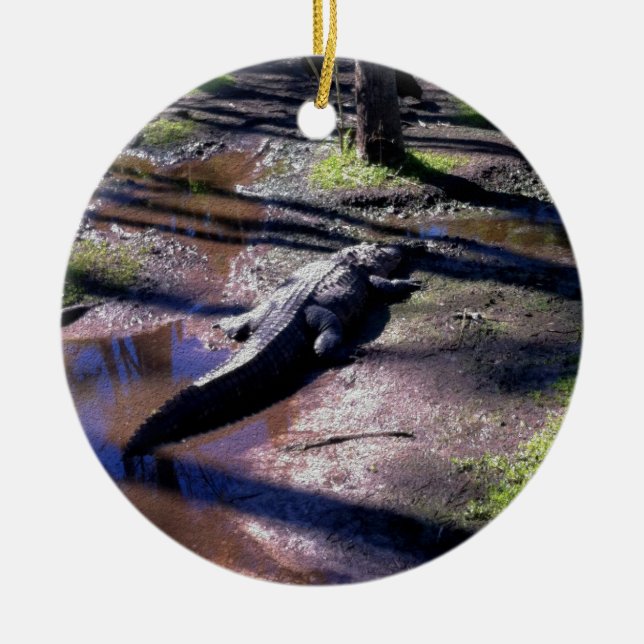 Ornamento De Cerâmica Jacaré de Florida (Frente)