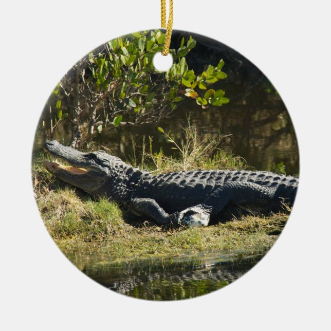 Ornamento De Cerâmica Jacaré Tomando Sol na Margem do Pântano (Frente)