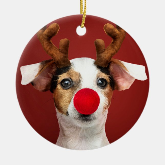Ornamento De Cerâmica Jack Russell Reindeer (Frente)