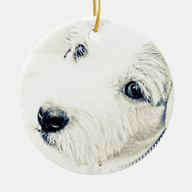 Ornamento De Cerâmica Jack Russell Terrier (Frente)