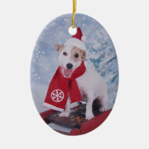 Ornamento De Cerâmica Jack Russell Terrier - o ajudante do papai noel