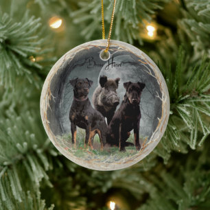 Ornamento De Cerâmica Jagdterrier, brava tapeçaria cardíaca poster acríl