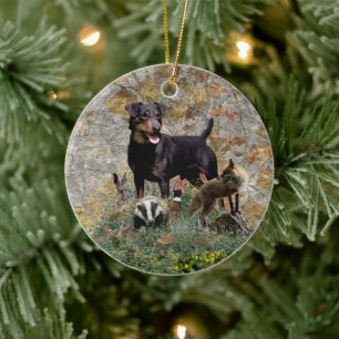 Ornamento De Cerâmica Jagdterrier Tapeçaria