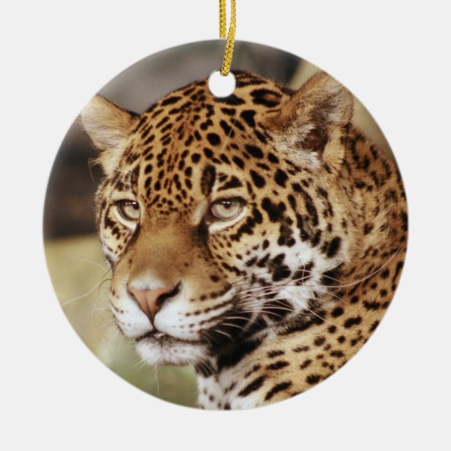 Ornamento De Cerâmica Jaguar Ornament (Frente)