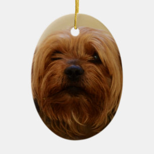 Ornamento De Cerâmica Jake O Yorkie Terrier