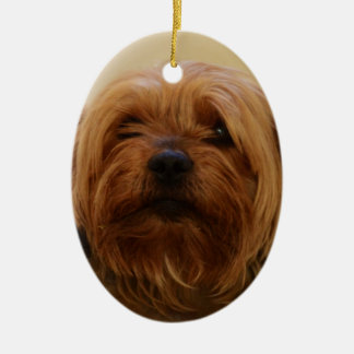 Ornamento De Cerâmica Jake O Yorkie Terrier