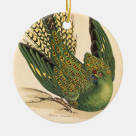 Ornamento De Cerâmica James Sowerby Ground Parrot, Psittacus terrestris
