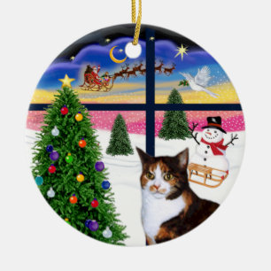 Ornamento De Cerâmica Janela de Natal - gato Calico (Amer.Short Hair)