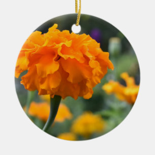 Ornamento De Cerâmica Jardim de Fotografia da Flor Laranja Marigold