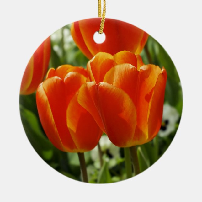 Ornamento De Cerâmica Jardim de Tulipas da Primavera (Frente)