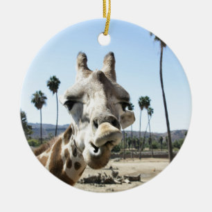 Ornamento De Cerâmica Jardim zoológico de San Diego