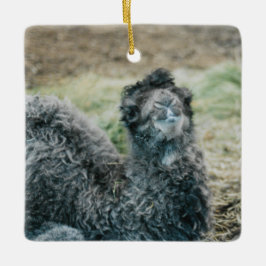 Ornamento De Cerâmica Jelly Baba