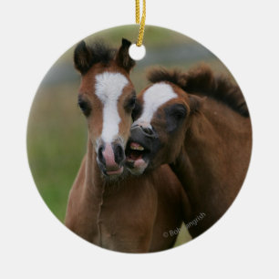 Ornamento De Cerâmica Jogo dos potros